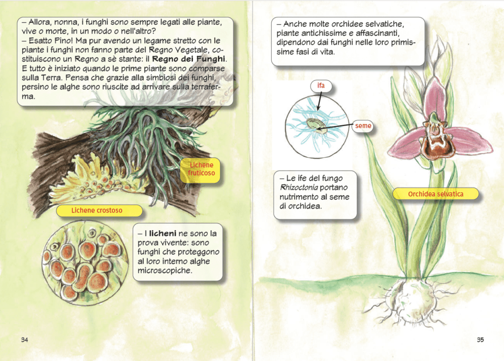 Nonna Flora e l'incredibile Regno dei Funghi di Fabrizio Boccardo, Daniela Visentini e Roberta Mazzoni - Copertina flessibile - immagine 4